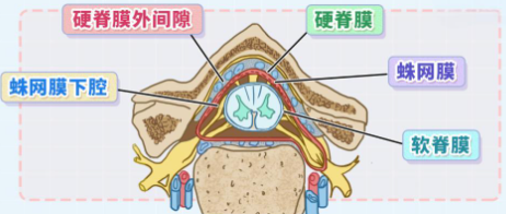 邵陽(yáng)創(chuàng)傷骨科,邵陽(yáng)風(fēng)濕病區(qū),邵陽(yáng)骨質(zhì)增生,邵陽(yáng)關(guān)節(jié)病區(qū),邵陽(yáng)頸椎病區(qū)